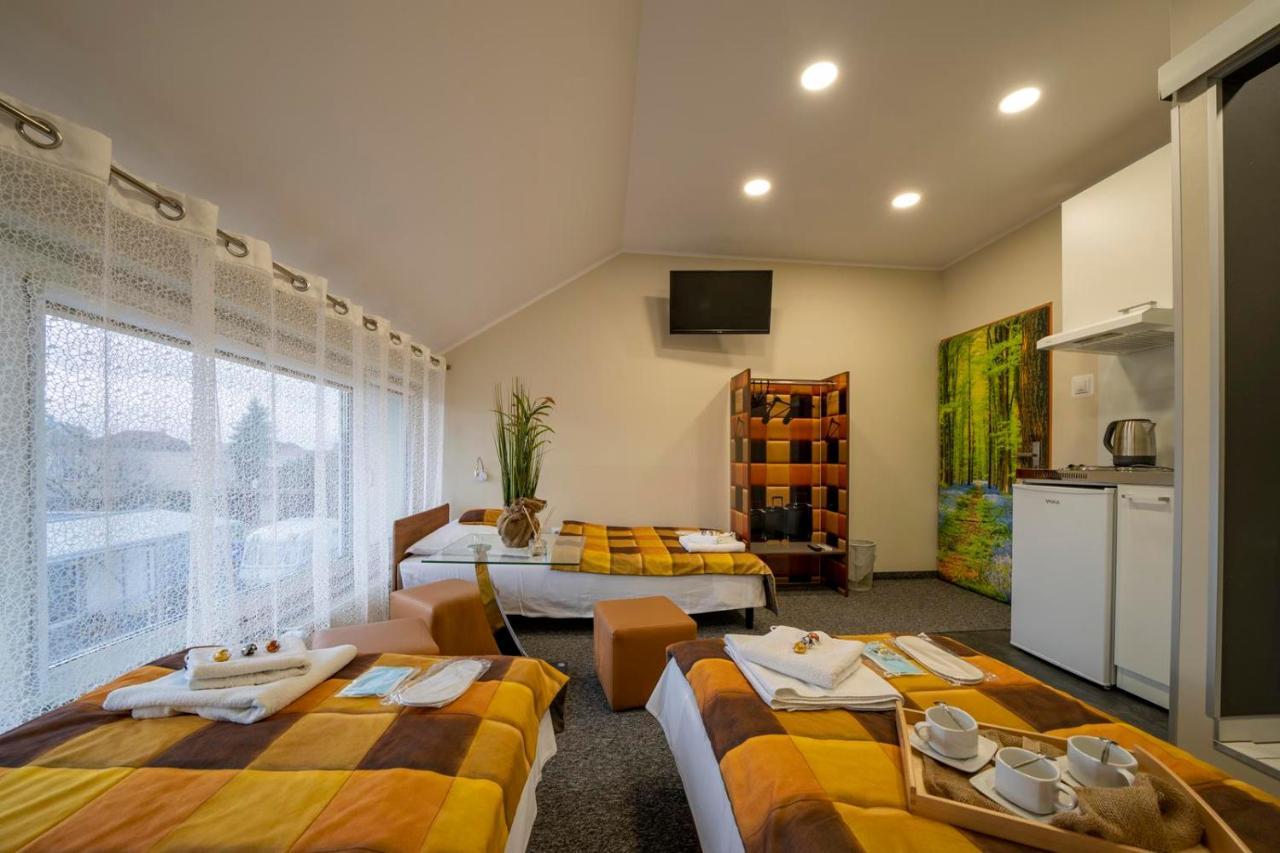 Fortisline Pokoje Z Klimatyzcja Sauna Apartment Opole Luaran gambar